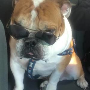 Meet your Posher, April